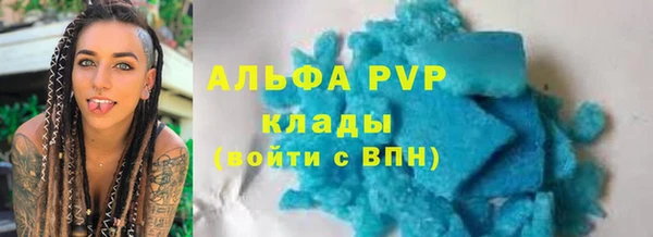Альфа ПВП Новозыбков