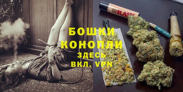 не бодяженный Няндома