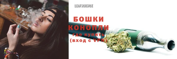 MDMA Новодвинск