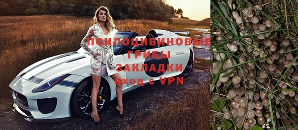 MDMA Новодвинск