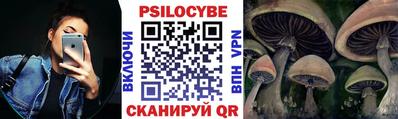 Псилоцибиновые грибы MAGIC MUSHROOMS  блэк спрут зеркало  Борисоглебск 