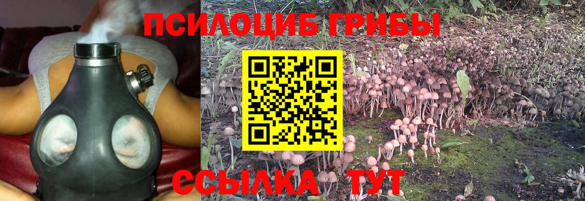 Псилоцибиновые грибы прущие грибы Борисоглебск