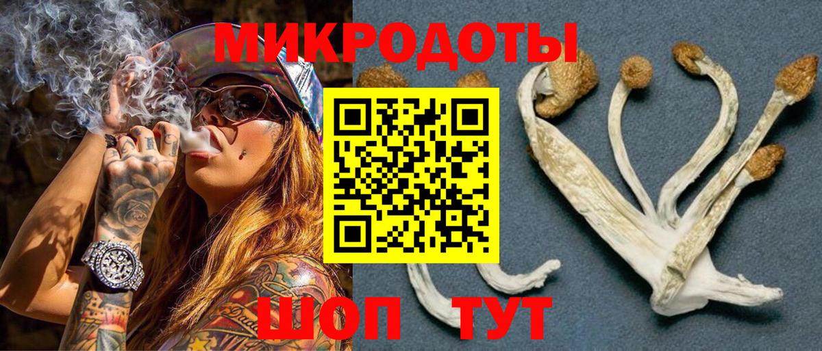 Псилоцибиновые грибы Psilocybe Борисоглебск