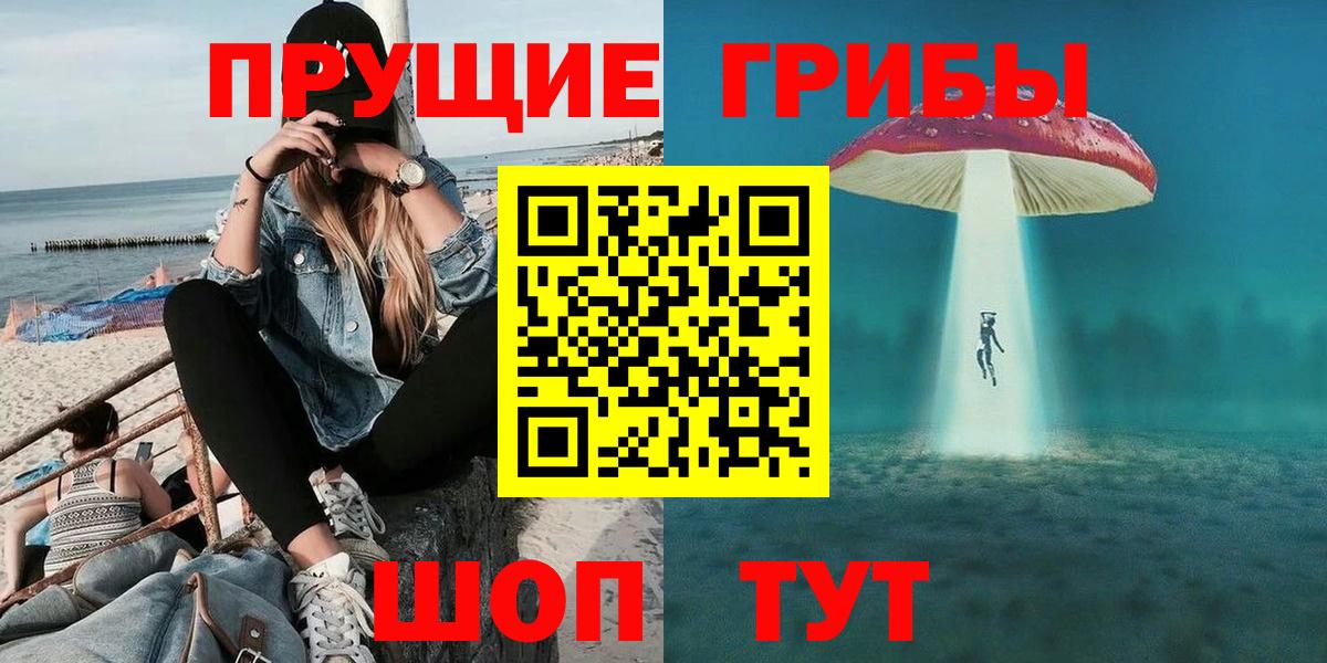 Псилоцибиновые грибы Cubensis  Борисоглебск  Галлюциногенные грибы мицелий 